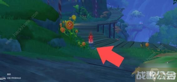 原神琉形蜃境攻略大全 琉形蜃境欢兴礼卷宝箱收集路线图,原神资讯