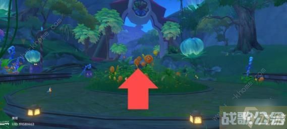 原神琉形蜃境攻略大全 琉形蜃境欢兴礼卷宝箱收集路线图,原神资讯