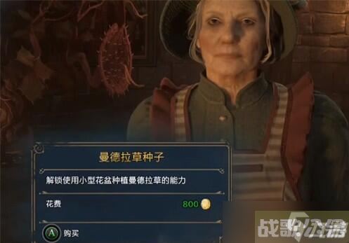 霍格沃茨之遗曼德拉草获取方法,霍格沃茨之遗资讯 霍格沃茨之遗曼德拉草获取方法,霍格沃茨之遗资讯