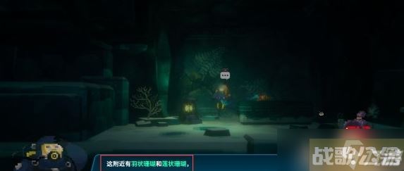 潜水员戴夫羽状珊瑚和莲状珊瑚在哪,潜水员戴夫资讯