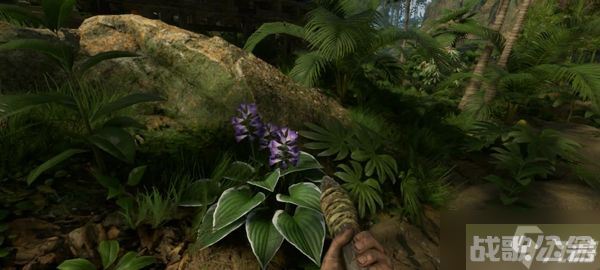 绿色地狱稿子怎么做,绿色地狱资讯