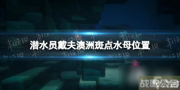 《潜水员戴夫》澳洲斑点水母在哪  澳洲斑点水母在哪里,潜水员戴夫资讯