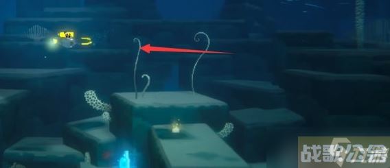 潜水员戴夫羽状珊瑚和莲状珊瑚在哪,潜水员戴夫资讯