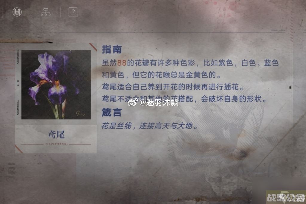 无期迷途花笺密文 无期迷途花笺解密,无期迷途资讯