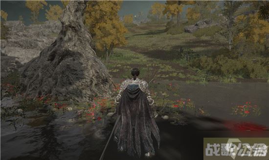 艾尔登法环死眠少女菲雅支线任务攻略,艾尔登法环资讯 艾尔登法环死眠少女菲雅支线任务攻略,艾尔登法环资讯