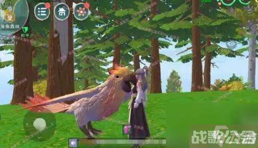 创造与魔法云斑鹦鸟饲料保底要多少2022,创造与魔法资讯