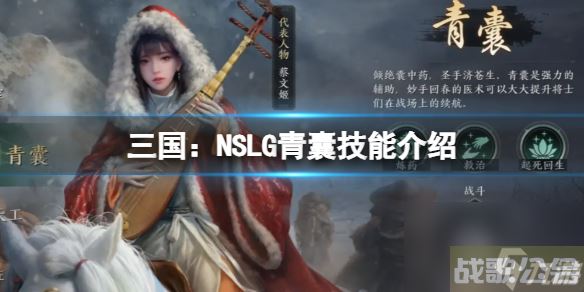 《三国 NSLG》青囊技能详解 六大职业技能详解,三国NSLG资讯