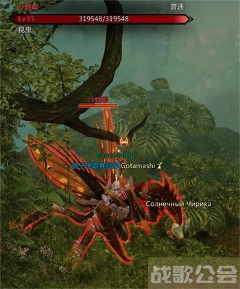 命运方舟帕普尼卡怪物图鉴大全-帕斯卡明日方舟关卡攻略