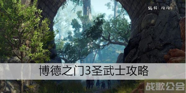 博德之门3圣武士攻略-博德之门3圣武士攻略新手升级攻略