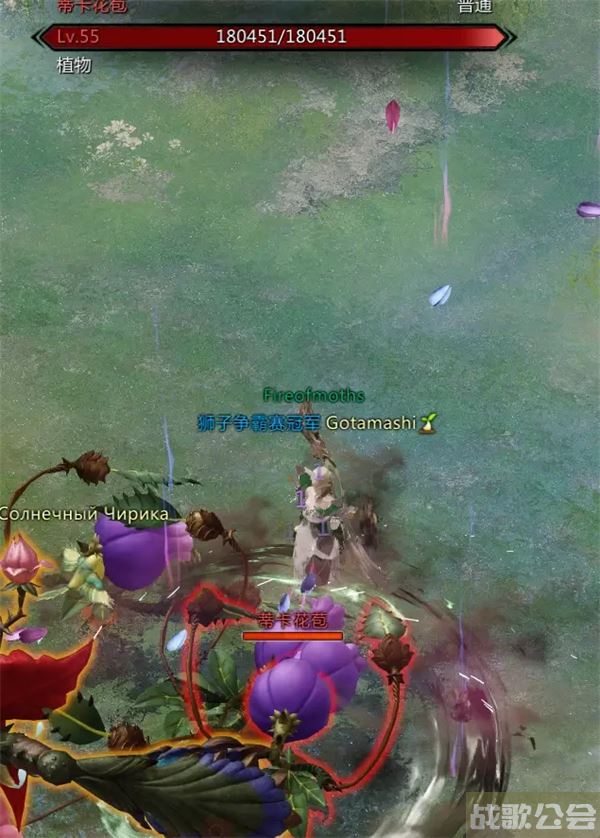 命运方舟帕普尼卡料理攻略-帕斯卡明日方舟推荐一览