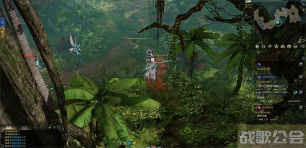 命运方舟帕普尼卡料理攻略-帕斯卡明日方舟推荐一览