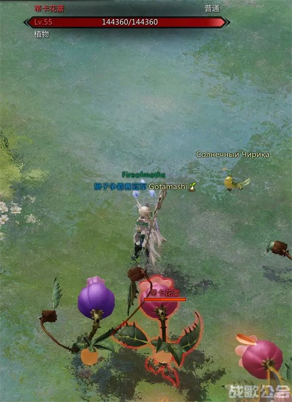 命运方舟帕普尼卡料理攻略-帕斯卡明日方舟推荐一览