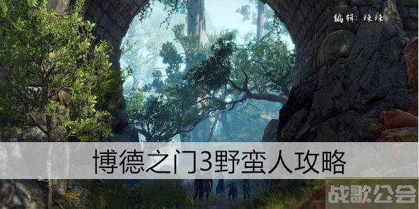 博德之门3牧师攻略-博德之门3牧师攻略活动任务攻略