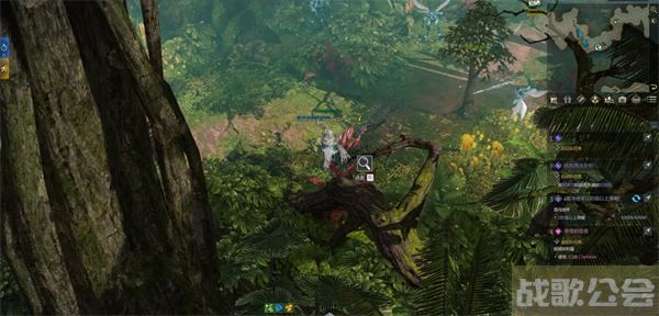 命运方舟帕普尼卡料理攻略-帕斯卡明日方舟推荐一览