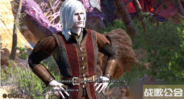 博德之门3苍白的精灵任务攻略