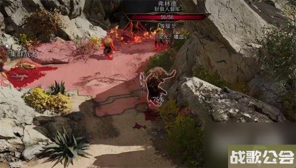 博德之门3蝌蚪收集方法攻略