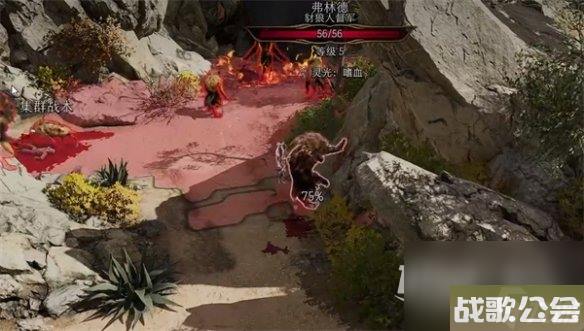 博德之门3蝌蚪收集方法攻略 博德之门3蝌蚪收集方法攻略