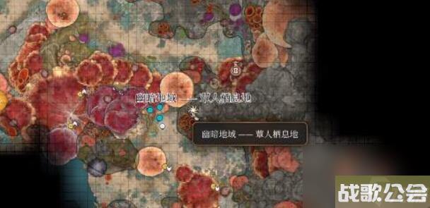 博德之门3特效奥术滋养灵药怎么获取