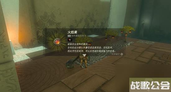 塞尔达传说王国之泪全神庙通关攻略大全