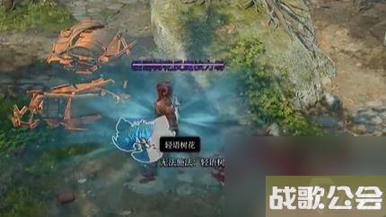 博德之门3轻语花带到地面的方法