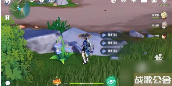 原神林间掇青之章玩法攻略