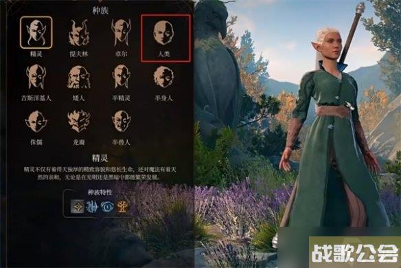 博德之门3法师种族推荐