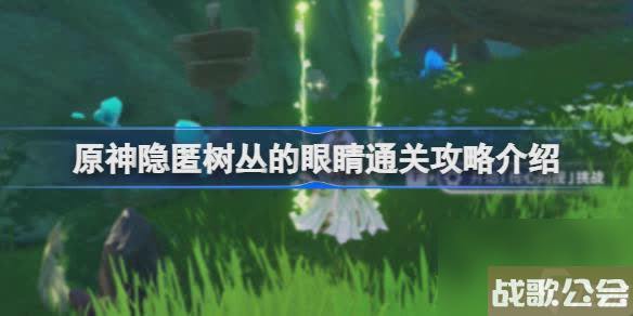 原神隐匿树丛的眼睛怎么玩 原神隐匿树丛的眼睛怎么玩
