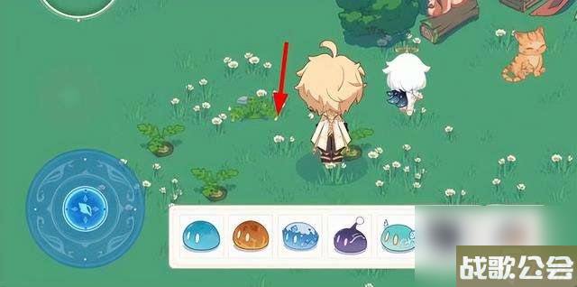 原神海螺在哪里及采集地点图纸-螺音忆梦海螺在哪里介绍-