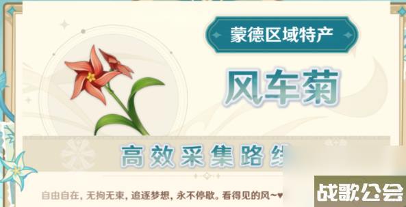 原神风车菊在哪里-原神风车菊在哪里购买