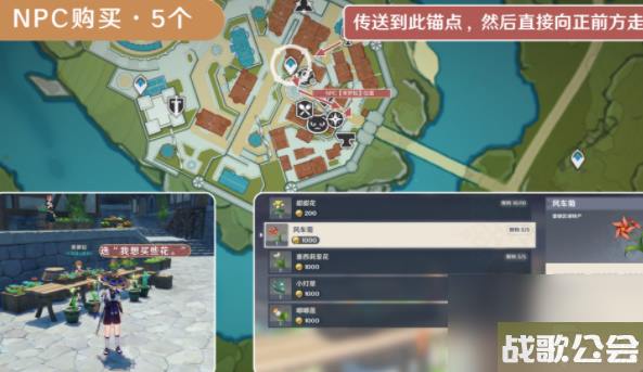 原神风车菊在哪里-原神风车菊在哪里购买