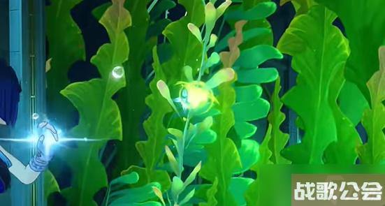 原神水色潮痕怎么开门 原神水色潮痕怎么开门