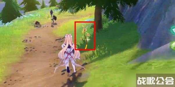 原神茉洁草在哪