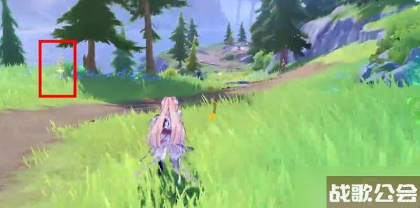 原神茉洁草在哪