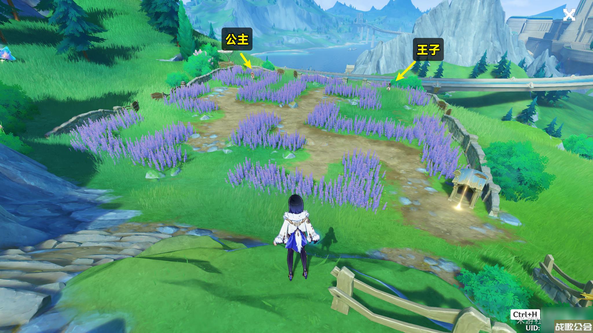 原神在开满鲜花的草地上任务完成攻略