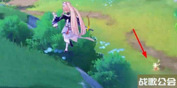 原神茉洁草在哪