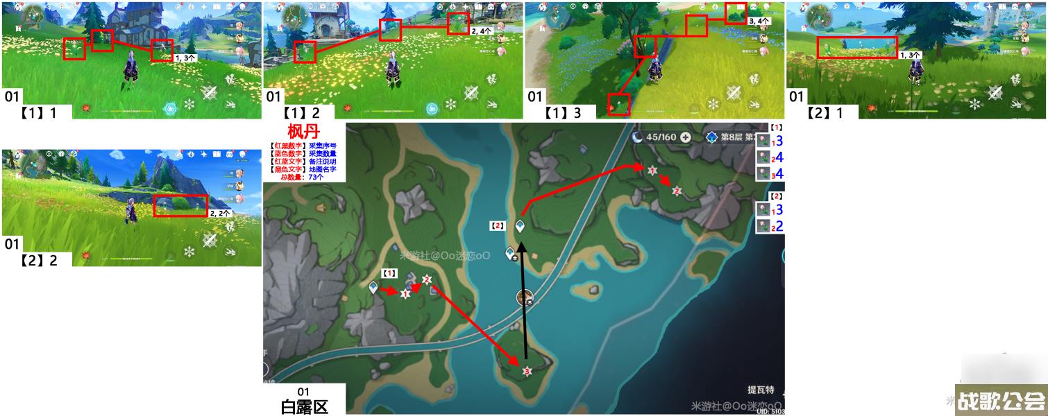 原神虹彩蔷薇采集路线图-虹彩蔷薇在哪里大全