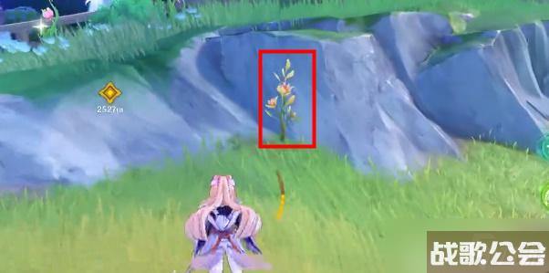 原神茉洁草在哪