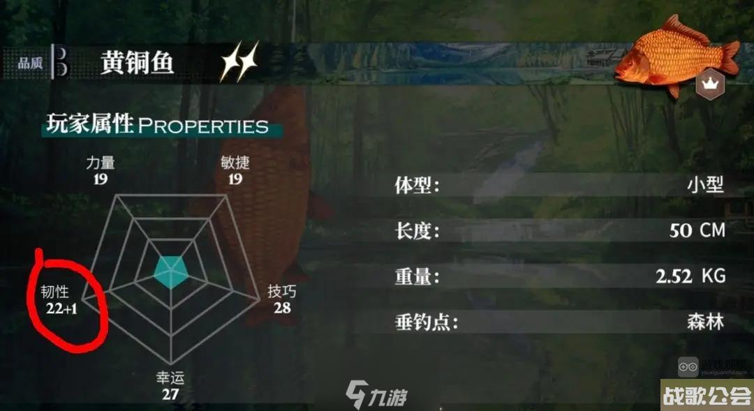 千年之旅钓鱼怎么钓-钓鱼玩法实操教学