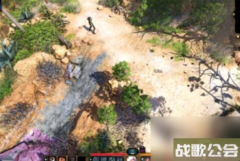 博德之门3苍白的精灵任务怎么做-博德之门3苍白的精灵任务攻略