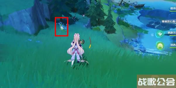 原神柔灯铃在哪获取-原神柔灯铃采集路线介绍