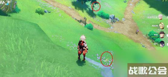 原神林间掇青之章攻略-原神林间掇青之章怎么做 原神林间掇青之章攻略-原神林间掇青之章怎么做