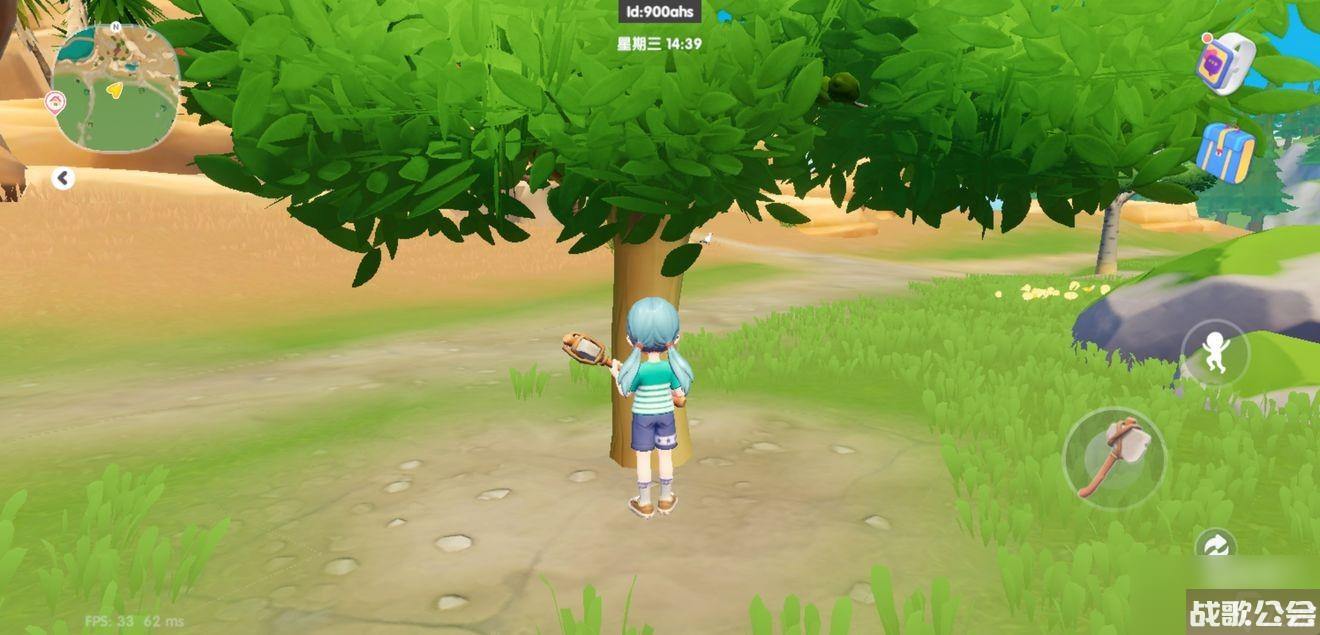 心动小镇稀有树木在哪