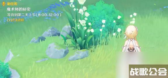 原神魔术师的秘密任务攻略-原神魔术师的秘密任务怎么做