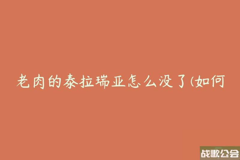 老肉的泰拉瑞亚怎么没了-怎么解决泰拉瑞亚游戏消失的问题-