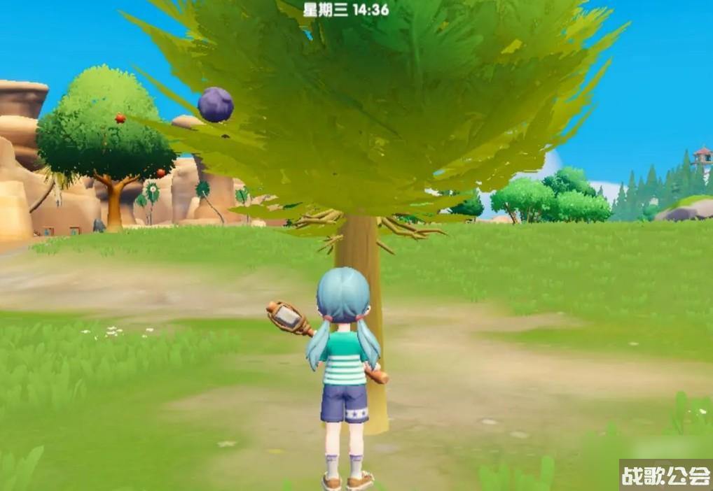 心动小镇稀有树木在哪