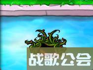 植物大战僵尸的所有植物的名称是什么