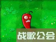 植物大战僵尸的所有植物的名称是什么