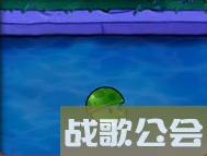 植物大战僵尸的所有植物的名称是什么