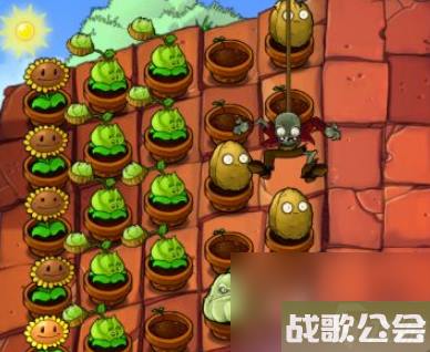 植物大战僵尸怎么爆花盆 