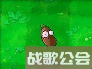 植物大战僵尸49个植物介绍是什么